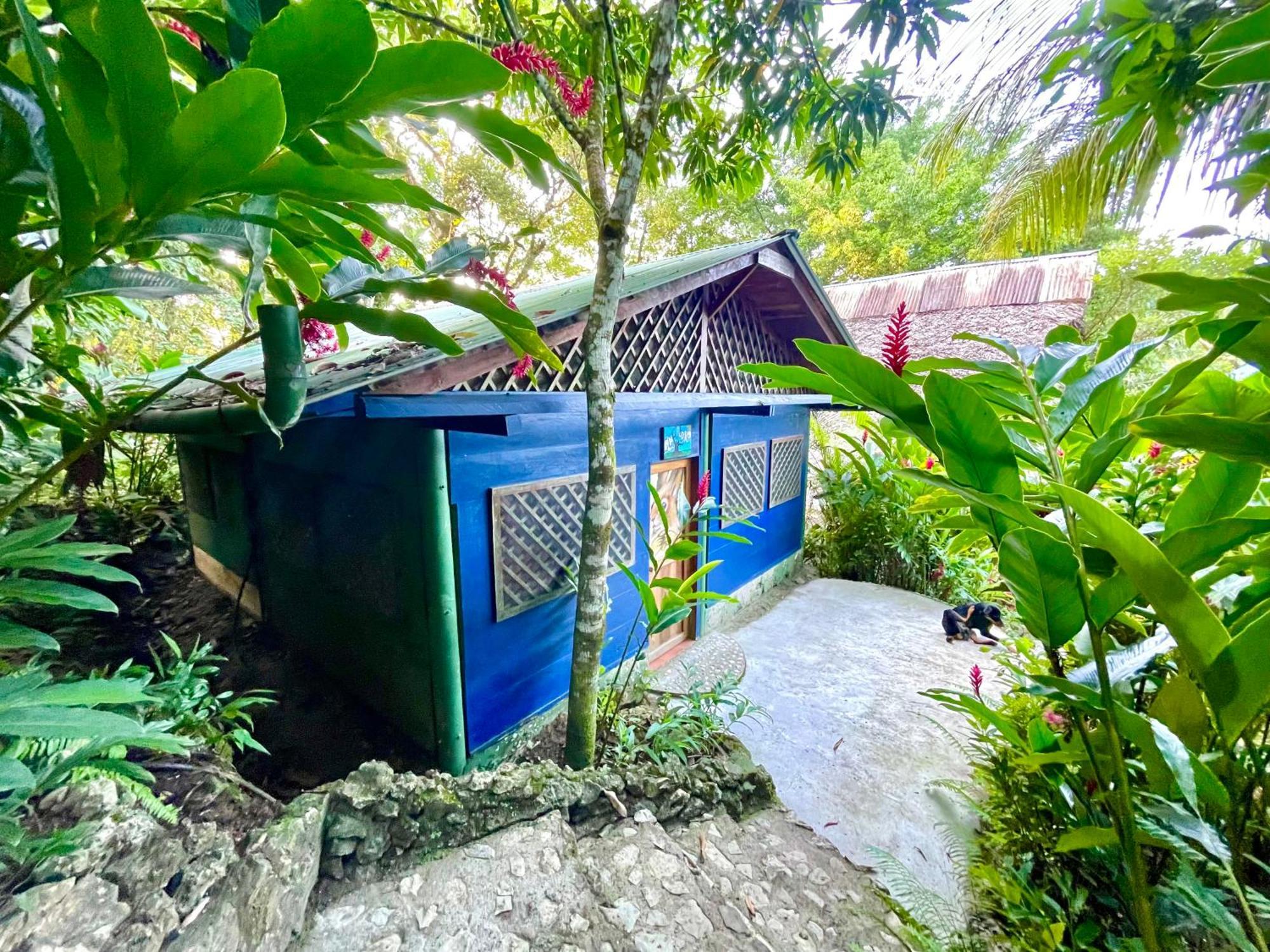 Palmeras Del Rio Hotel La Vina المظهر الخارجي الصورة
