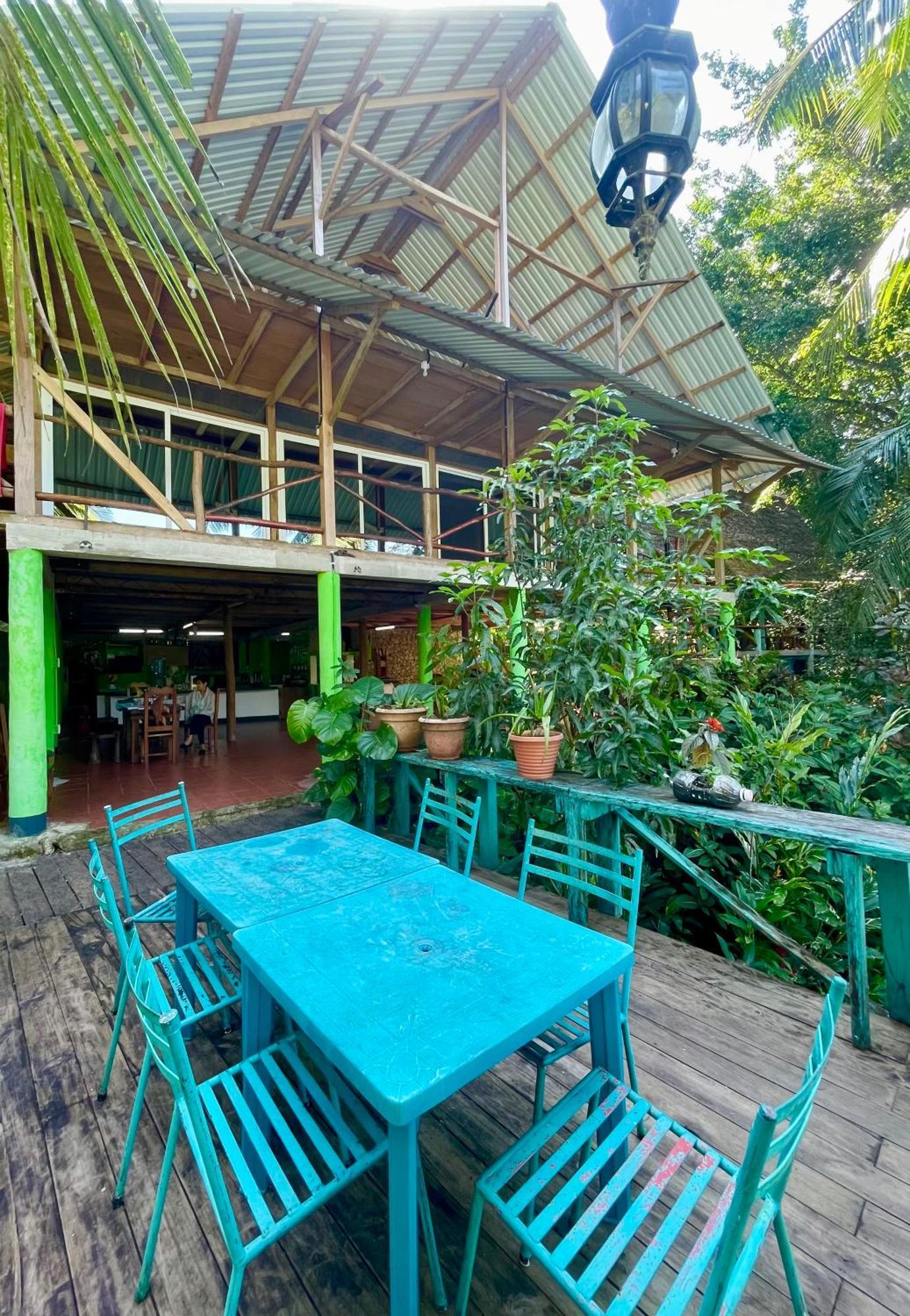 Palmeras Del Rio Hotel La Vina المظهر الخارجي الصورة
